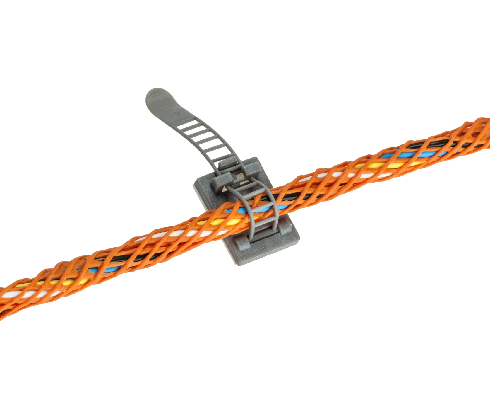 CF-OD50_1