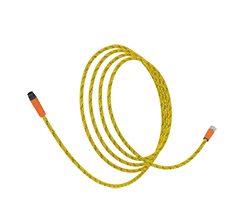 FG-ODR_yellow-trans-256-216